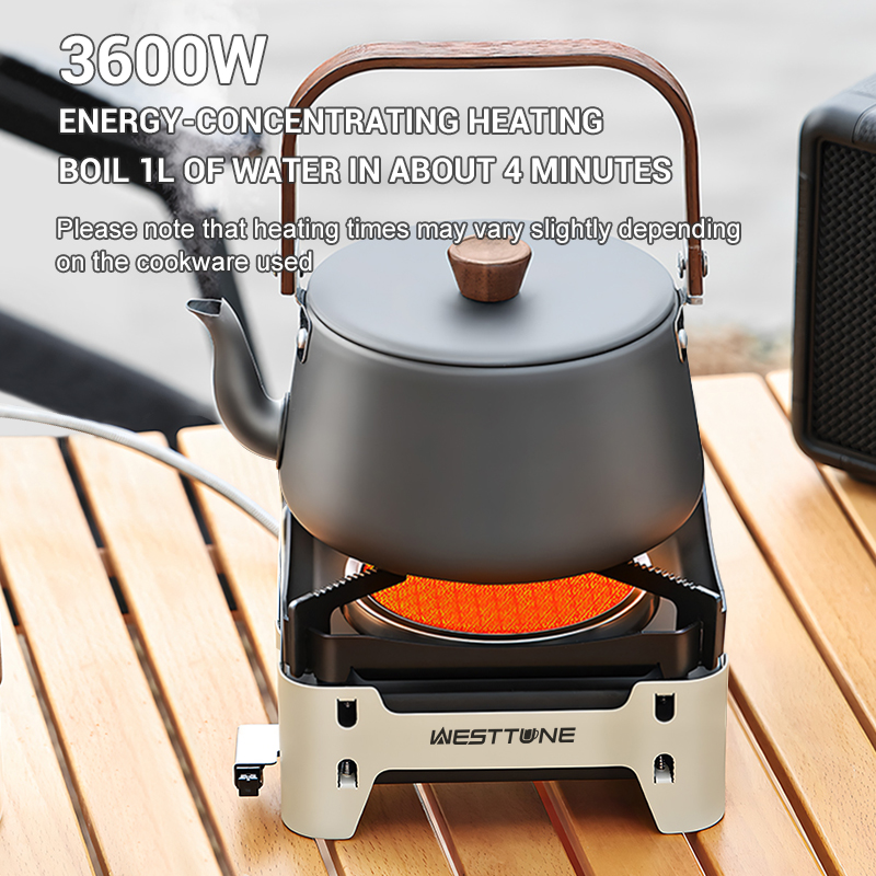 WESTTUNE уличная инфракрасная  – обзор и цена Outdoor Kitchen Power Burner